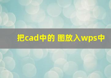 把cad中的 图放入wps中